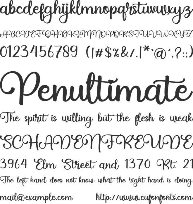 Billie Family font preview