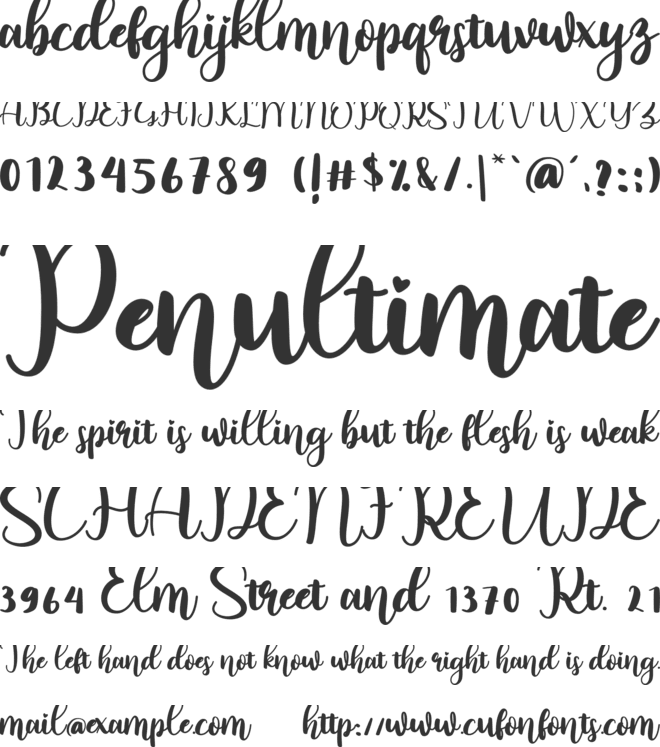 Lovin Florist font preview