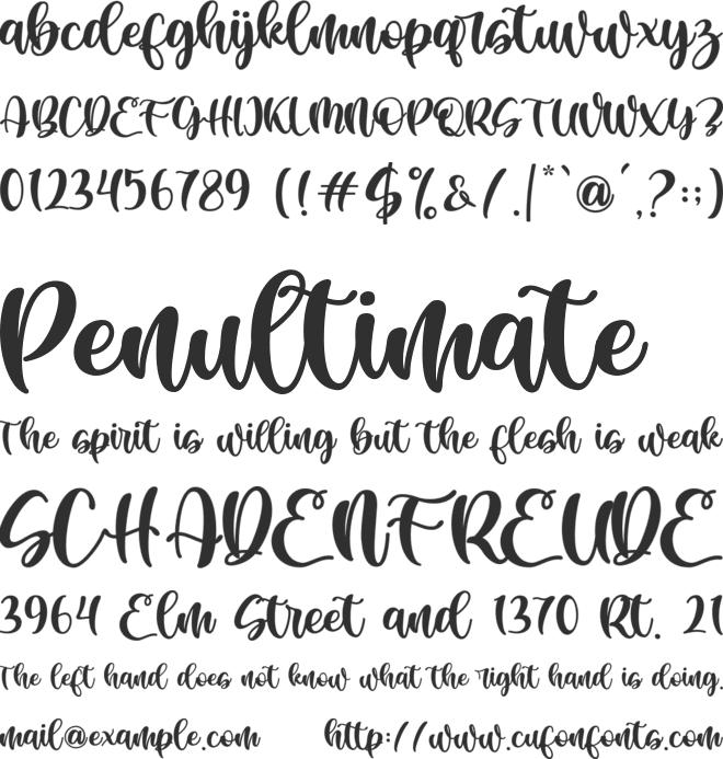 Ayalisse font preview