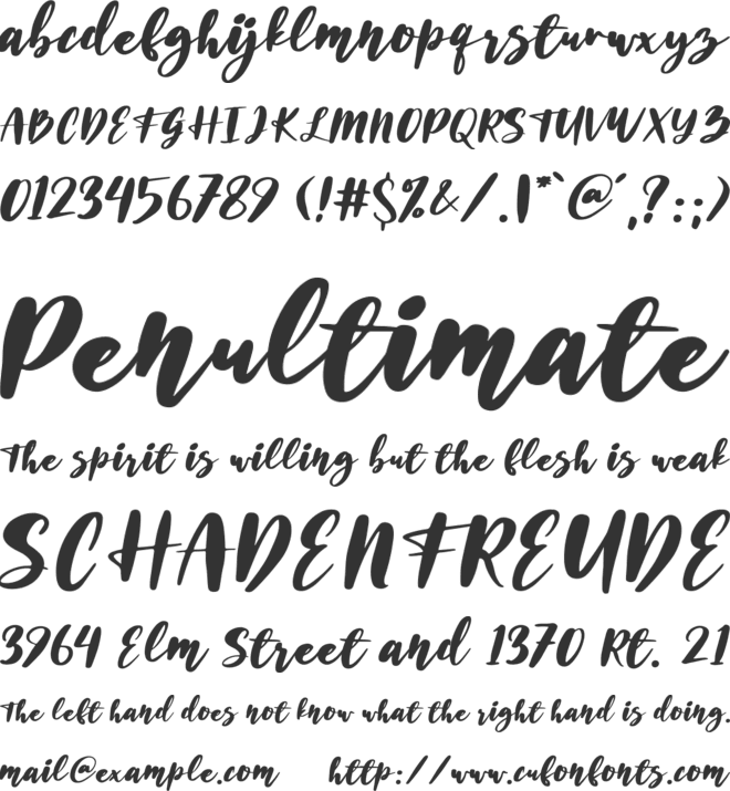 Husein Script font preview