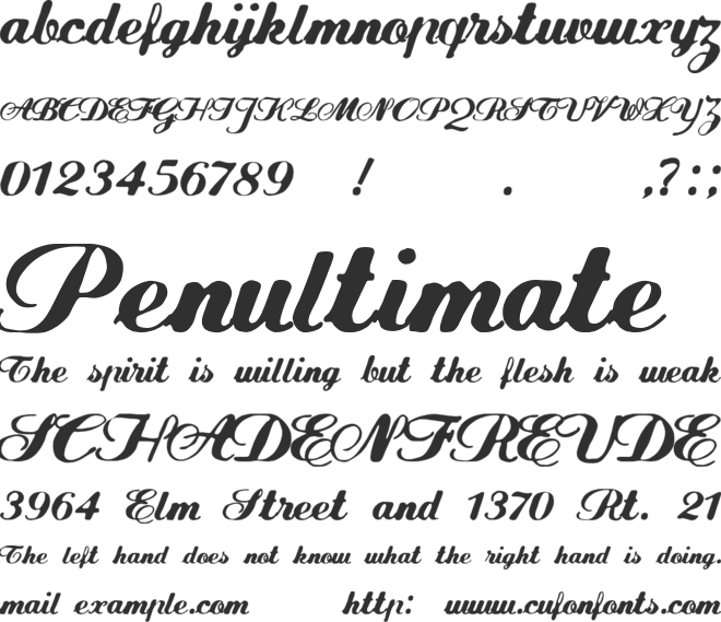 FLW Script font preview