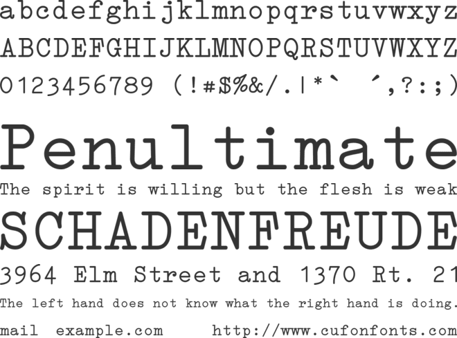 Erica Type font preview