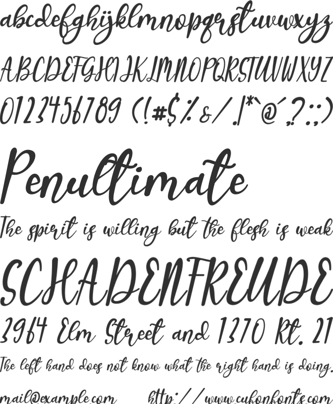 Kakarotto font preview
