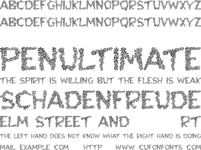 Cha font preview