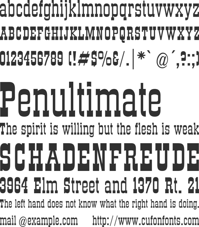 DS Roundup font preview