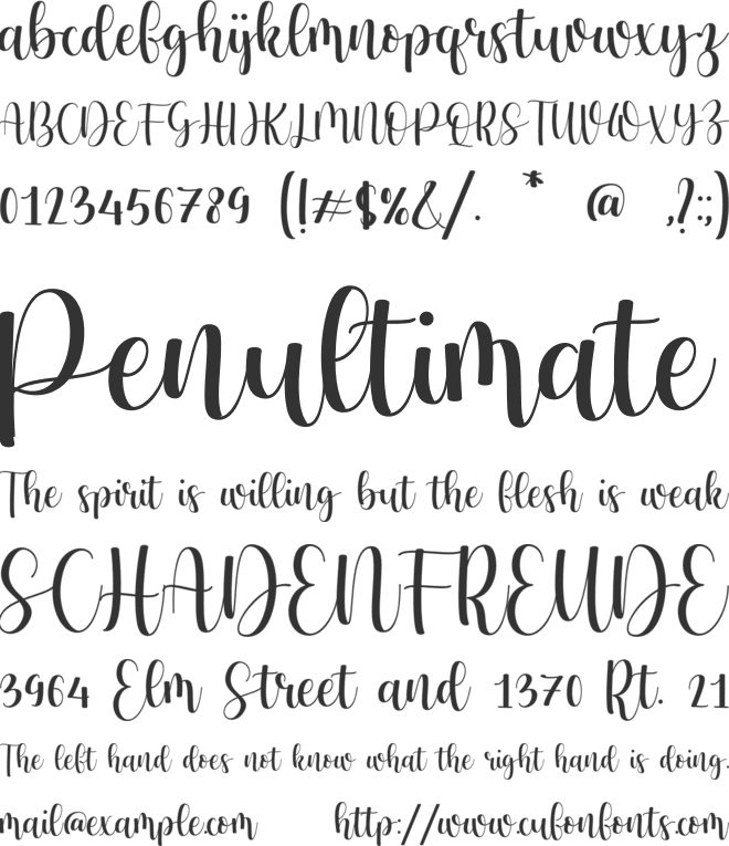 Ency Craft font preview