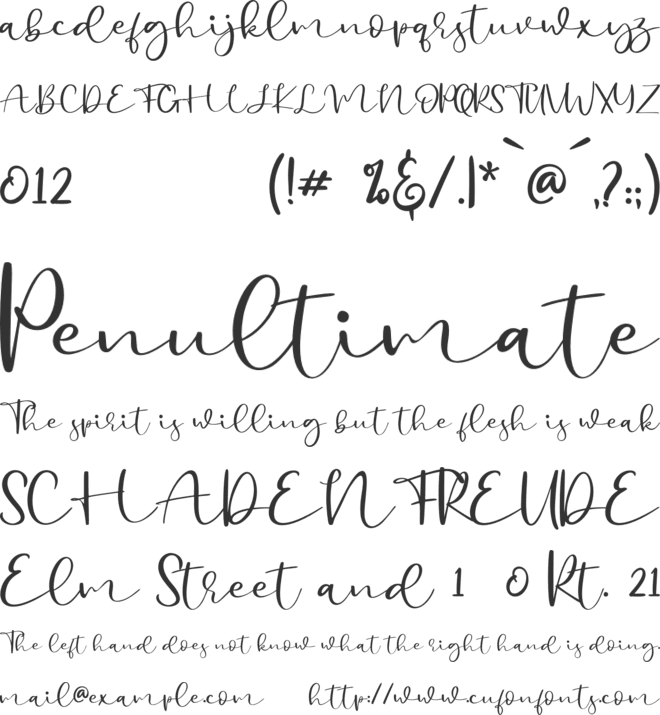 Billystory font preview