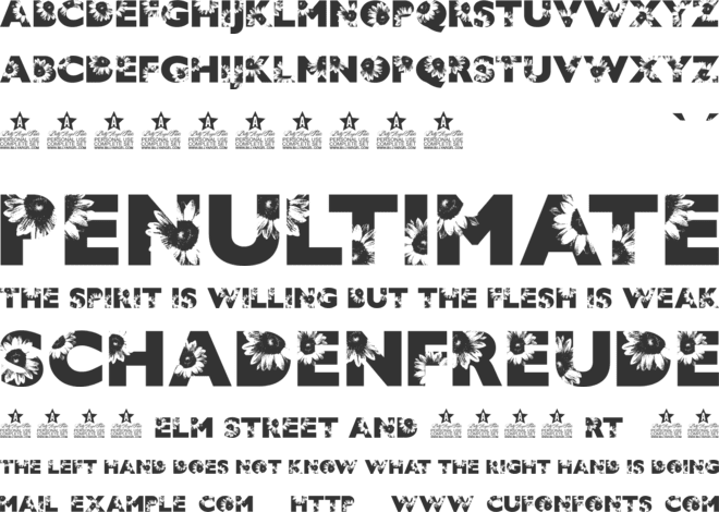 SUNFLOWER SEASON font preview