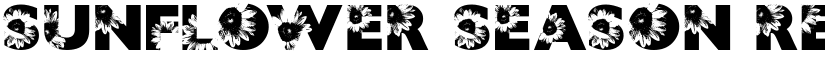SUNFLOWER SEASON Regular font
