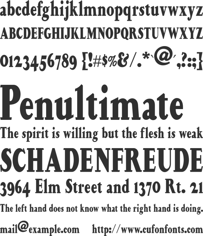 Happy Campers NF font preview