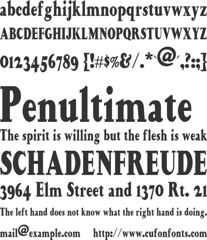 Happy Campers NF font preview