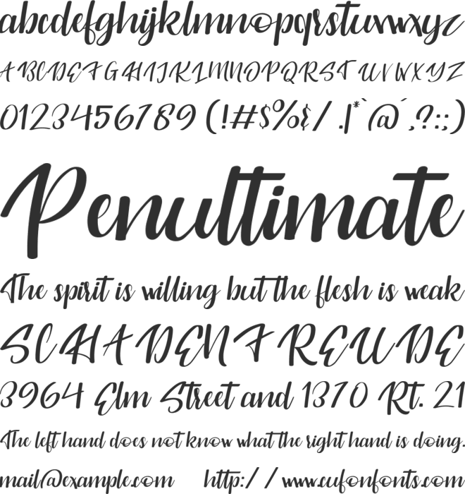 Originality Script Personal Use font preview
