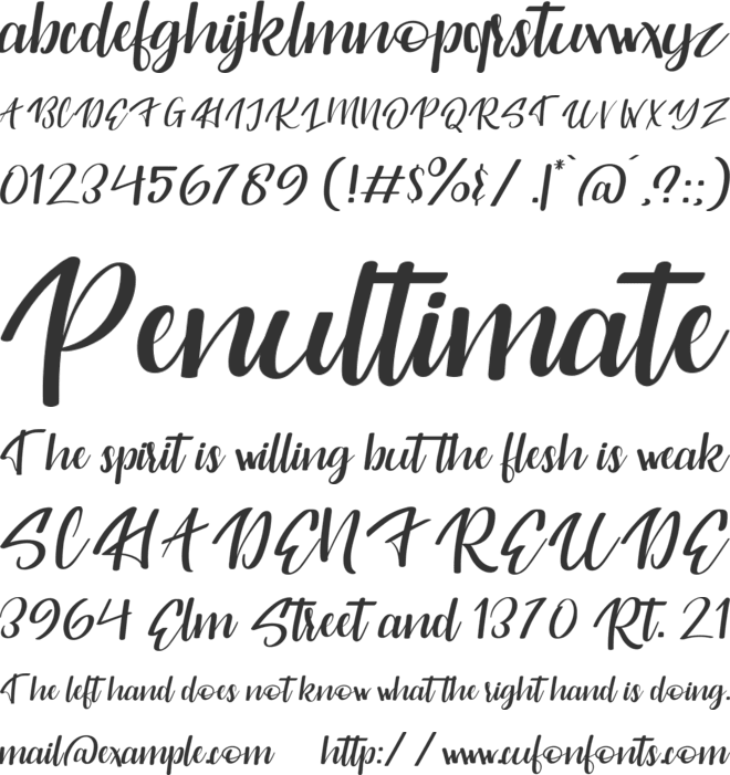 Originality Script Personal Use font preview