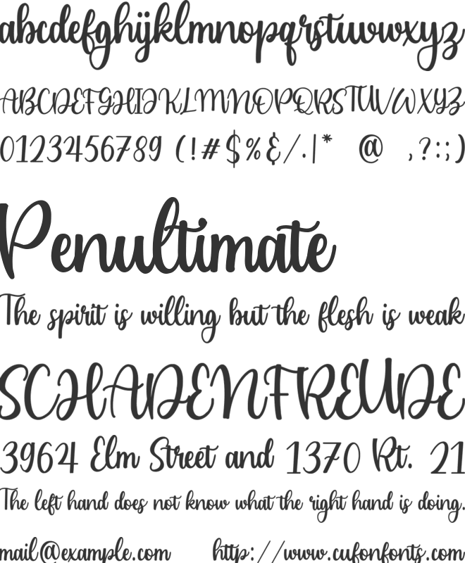 Cailyn Bloom font preview