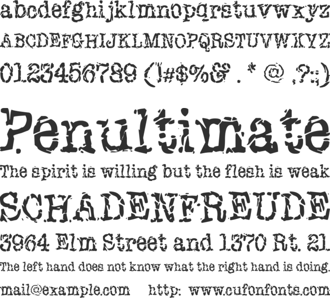 New York Punk font preview
