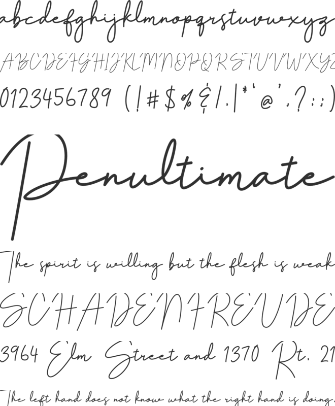 Amadgone font preview