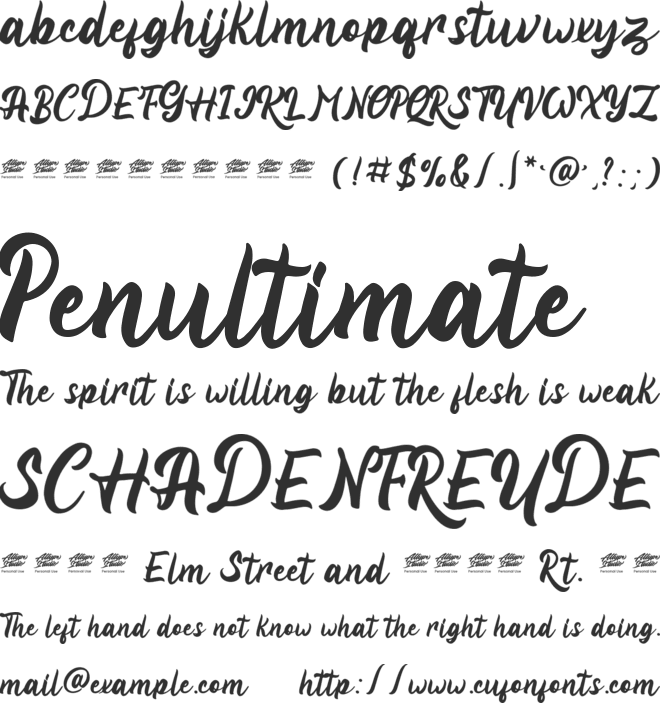 Viyona - Personal Use font preview