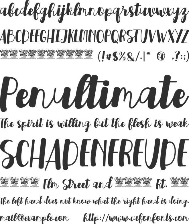 Winslet font preview