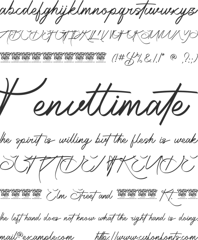 Radiantly Signature font preview