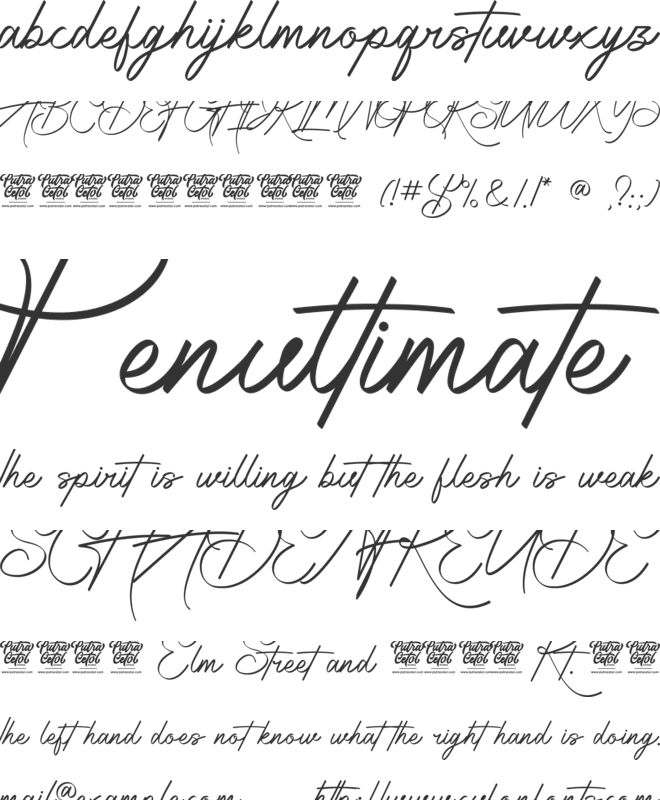 Radiantly Signature font preview