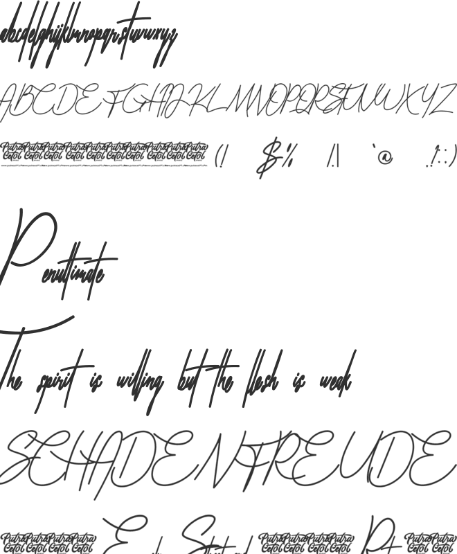Falsetto Signature font preview