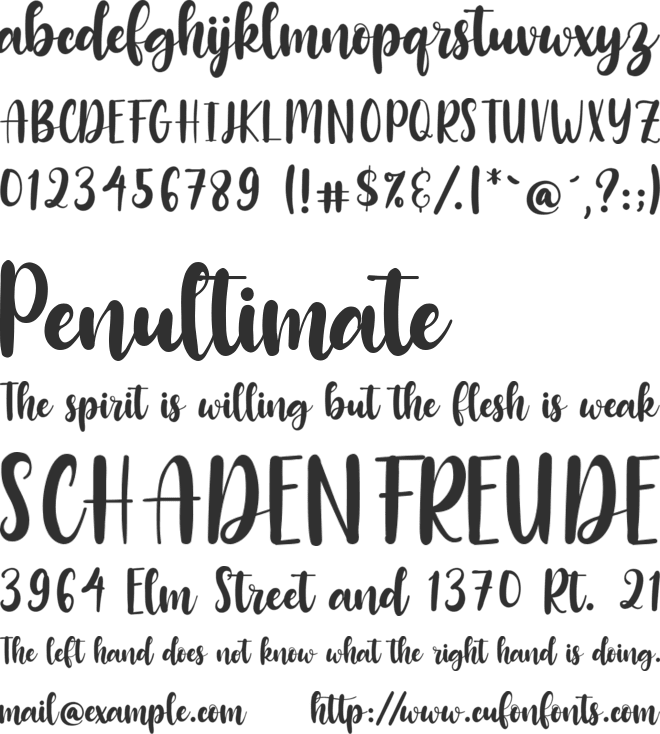Raspberry font preview