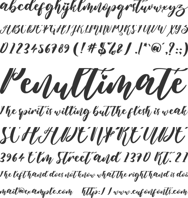 Valentine Wonder font preview