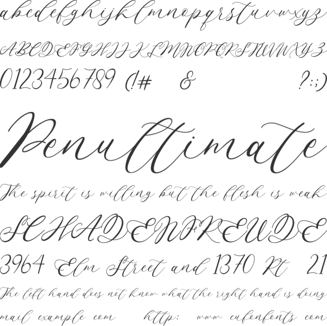 Endless Loveness font preview