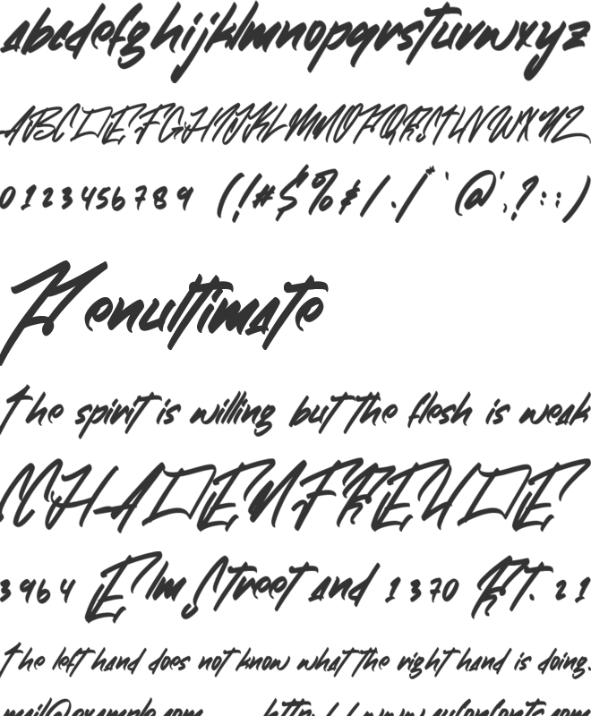 Zlatoust Chaos font preview