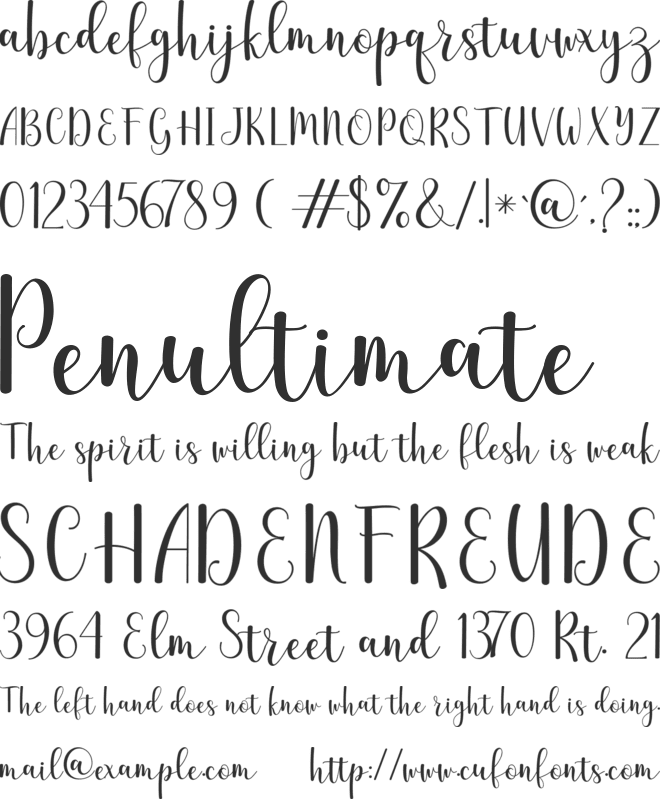 The winter font preview