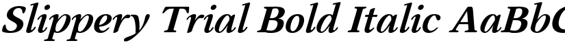 Slippery Trial Bold Italic font