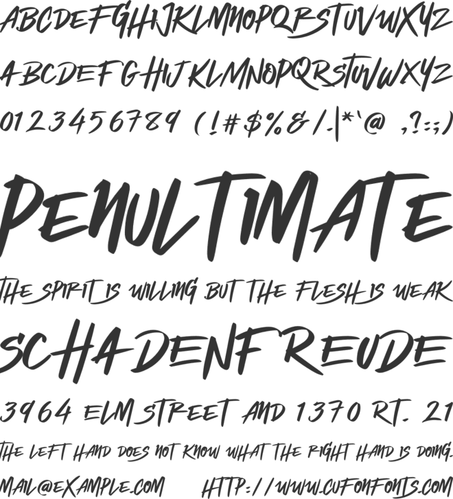Shockwave font preview