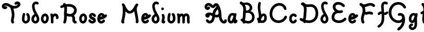 TudorRose Medium font