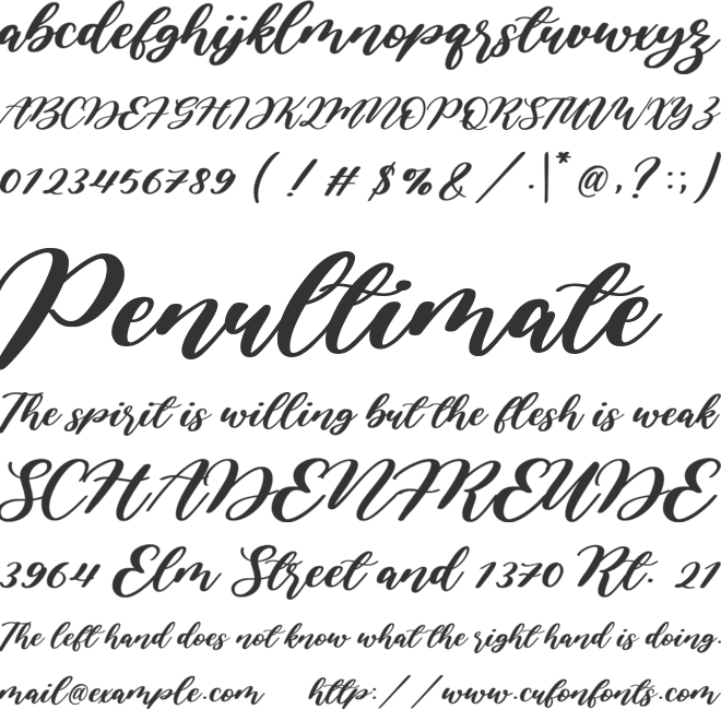 Amarila font preview