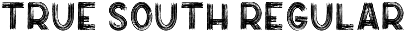 True South Regular font