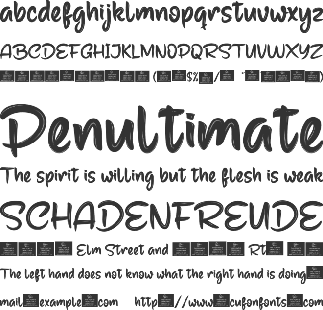 Mayorpersonal font preview