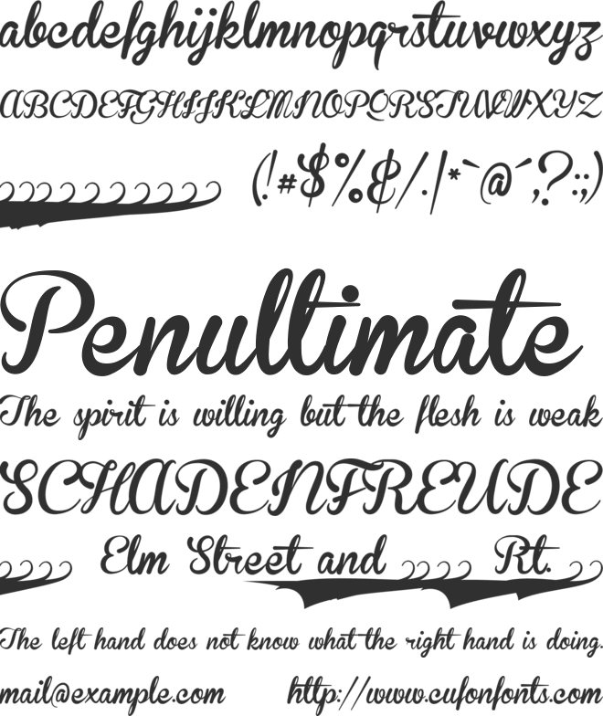 Brannboll F PERSONAL USE ONLY font preview