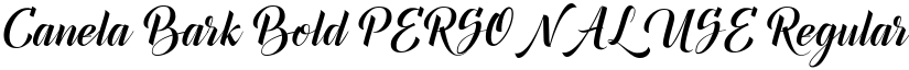Canela Bark Bold PERSONAL USE Regular font