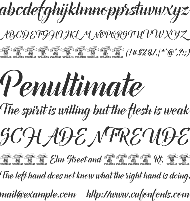 Canela Bark  PERSONAL USE font preview