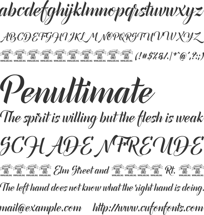 Canela Bark  PERSONAL USE font preview