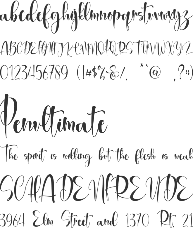 Brithany Modern - Personal Use font preview
