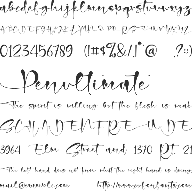 Christmas Signature font preview