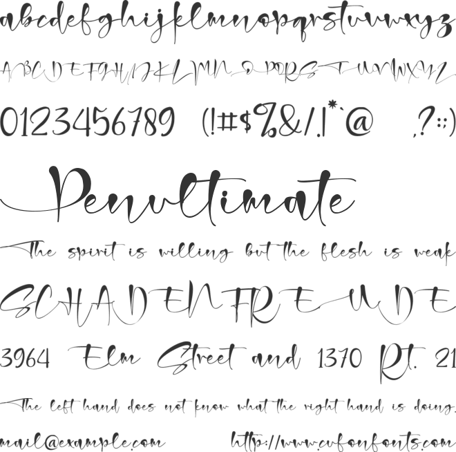 Christmas Signature font preview