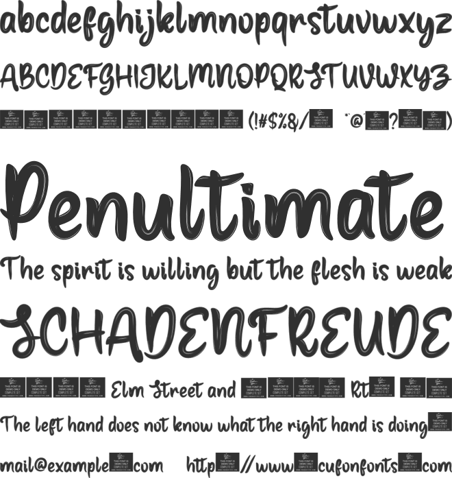 Surfing Personal font preview