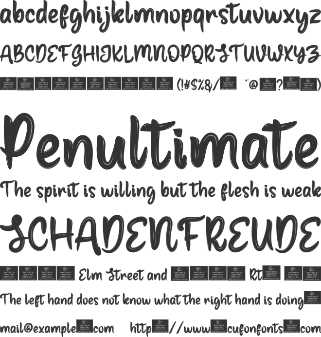 Surfing Personal font preview