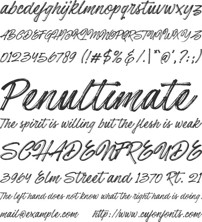 Hotte Brush font preview
