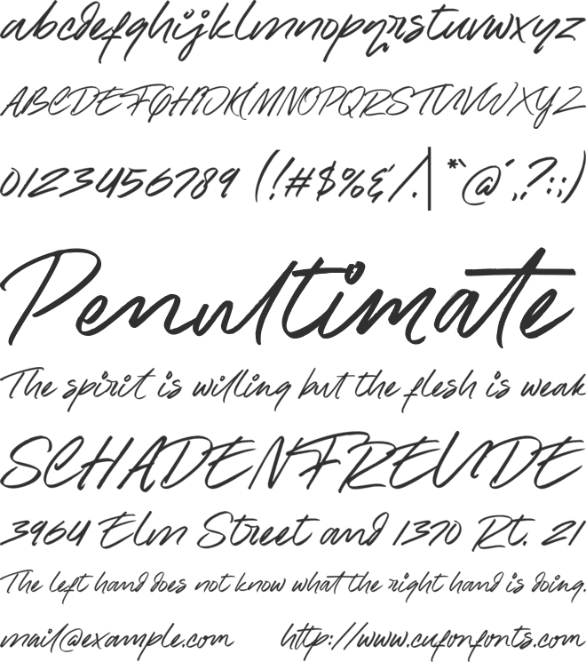 Raynoss font preview