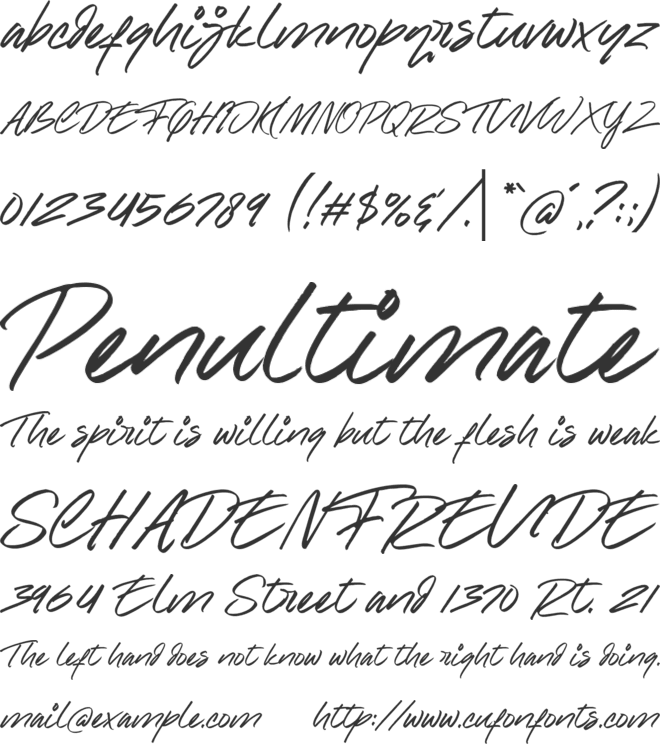 Raynoss font preview