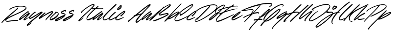 Raynoss Italic font