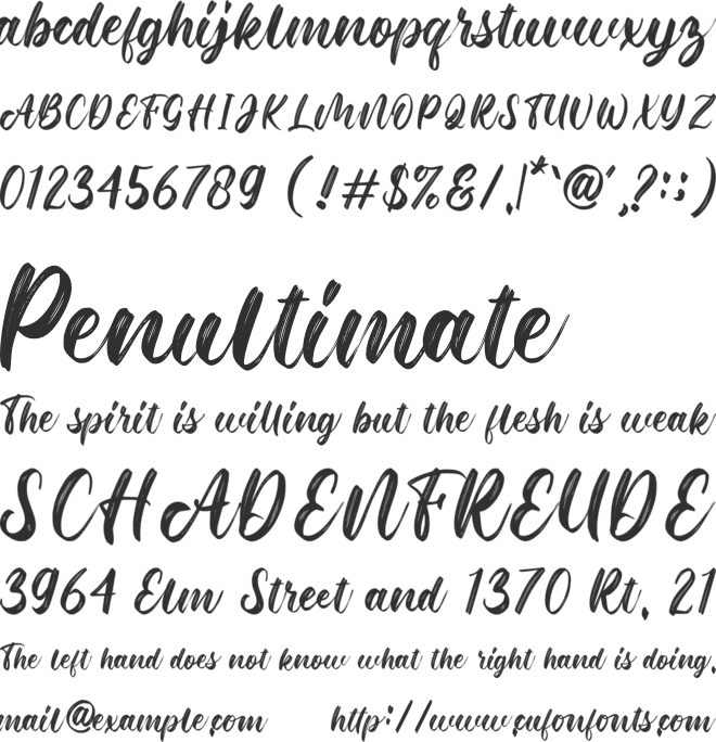 Roasting font preview